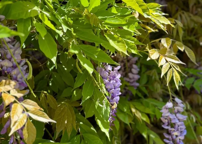 Angelina Ferienhaus Giardini-Naxos