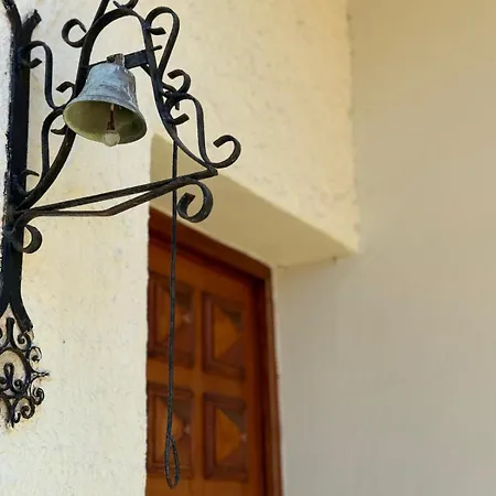 Angelina 贾迪尼-纳克索斯