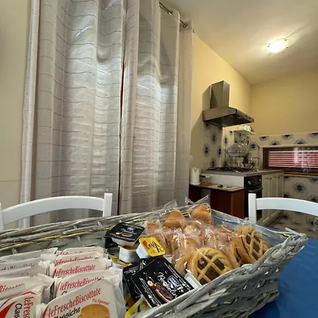 Angelina * 贾迪尼-纳克索斯